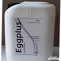 Eggplus D3 Kalsiyum 5 Litre ÜCRETSİZ KARGO