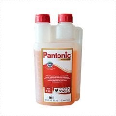 Pantonic  1 Litre ÜCRETSİZ KARGO