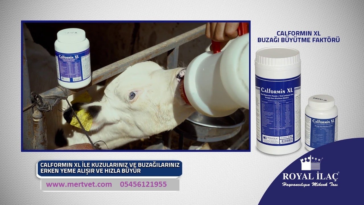 Calformin XL (Oral solüsyon tozu) 250 gr