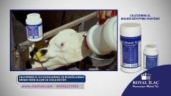 Calformin XL (Oral solüsyon tozu) 250 gr