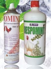 Respomint 1 Litre Nefes Açıcı