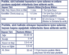 Raxtonic 100ml Vitamin Aminoasit Kombinasyonu